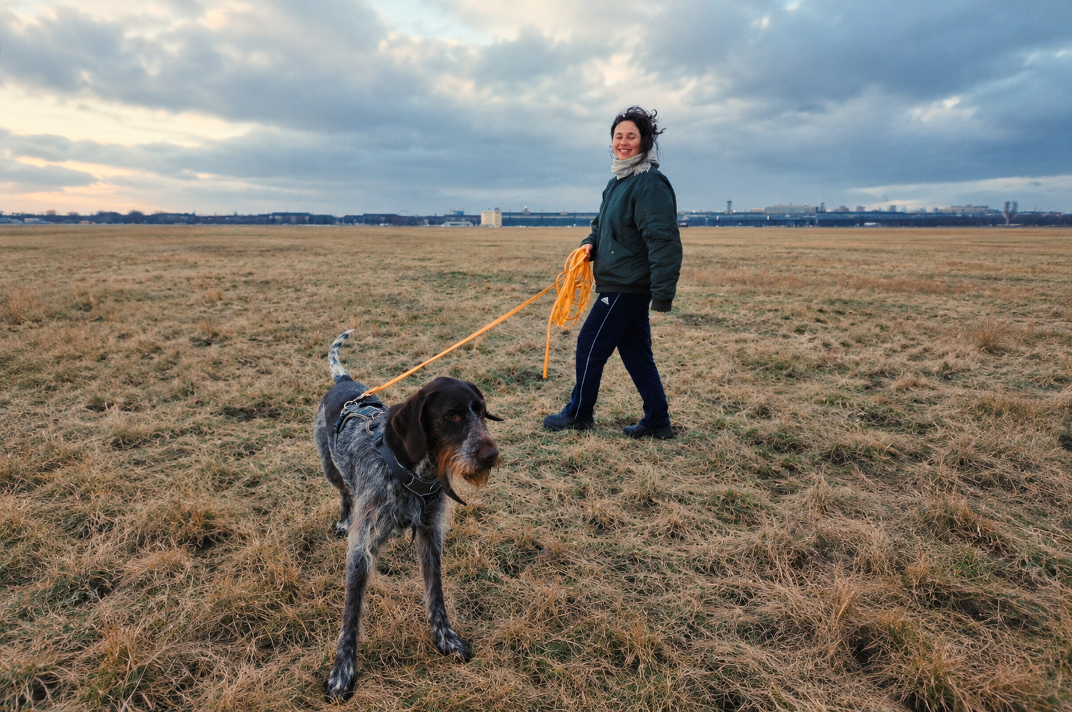 Dog participating in mantrailing training
